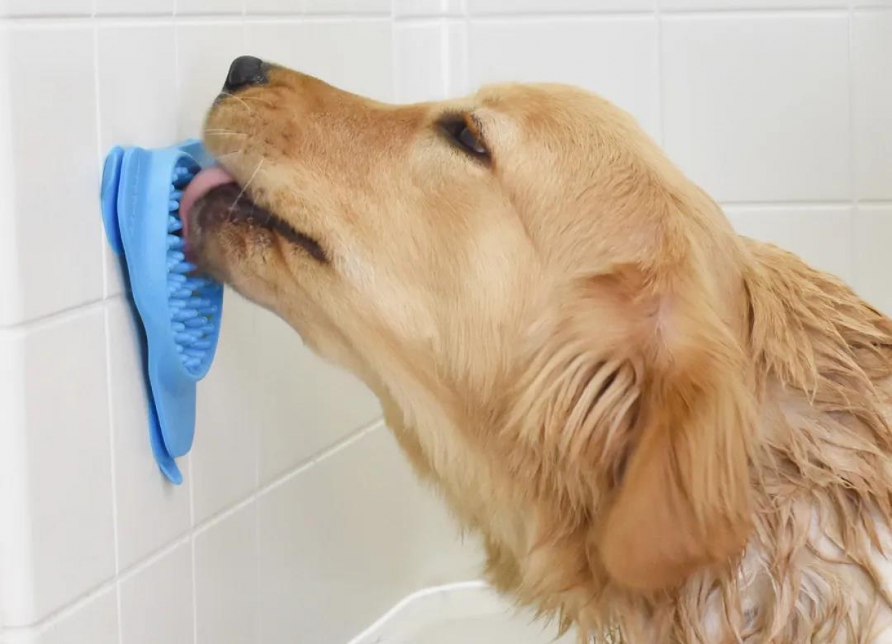 為寵物而設(shè)計(jì)的-10款產(chǎn)品